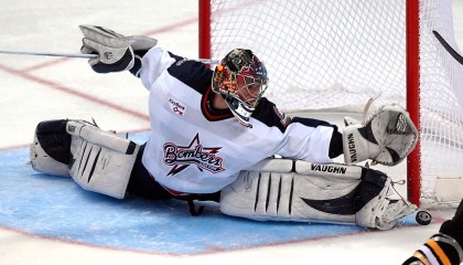 开云网页版登录入口-日本马术协会推出马匹健康管理系统，提升马匹福利。，日本马业